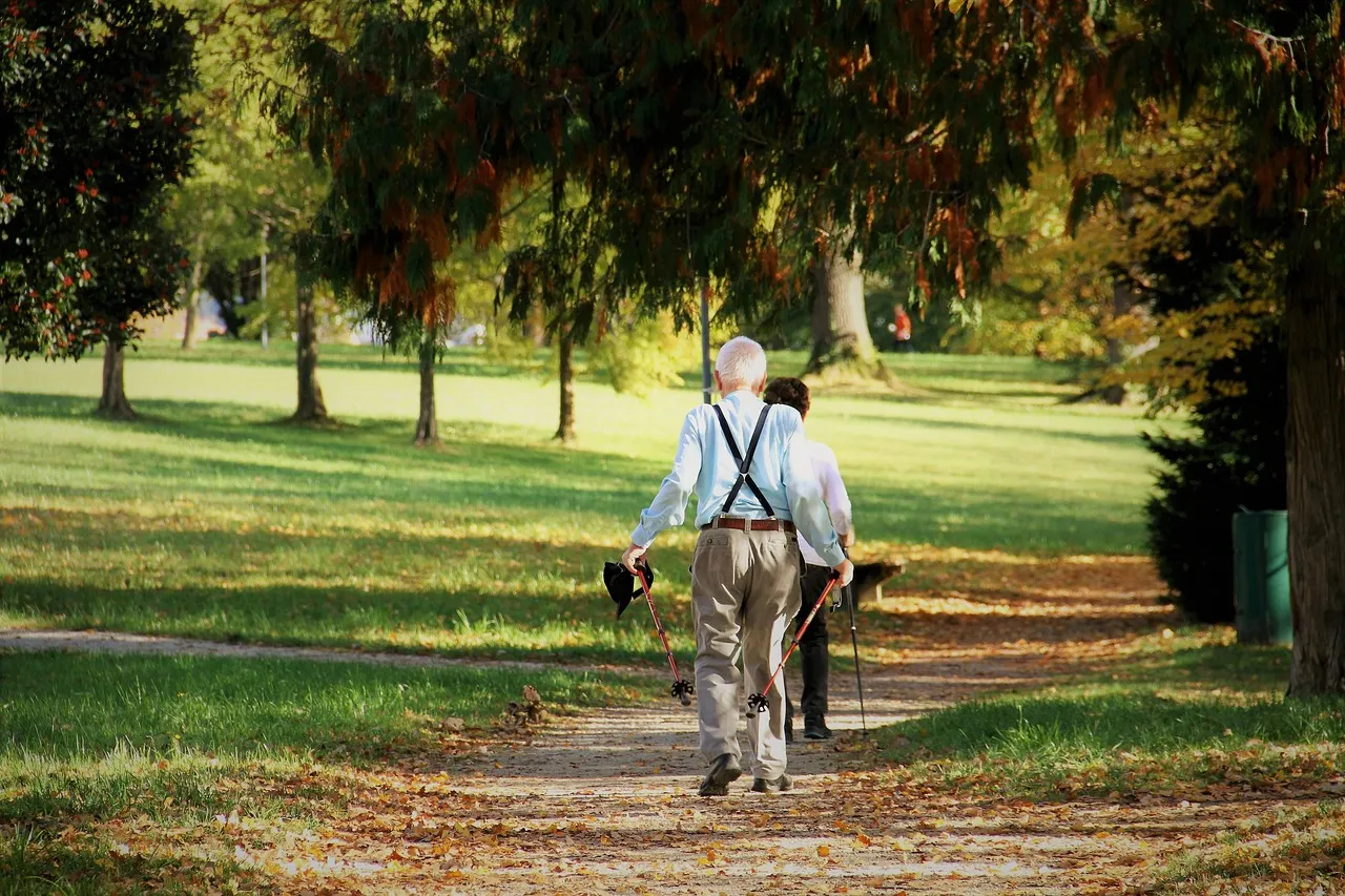 An older adult nordic walking with poles through a park on a sunny autumn day, surrounded by golden fallen leaves