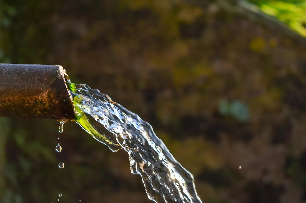 Nature, outdoors, body of water — illustrating Analog vs Agonist vs Mimetic vs Secretagogue