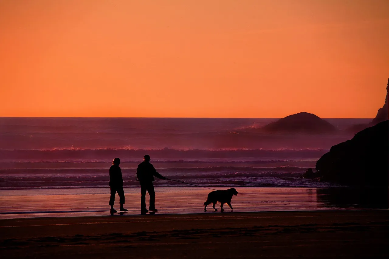Grandparents, walking the dog, dog — illustrating ASCVD 10-Year Cardiovascular Risk, Explained