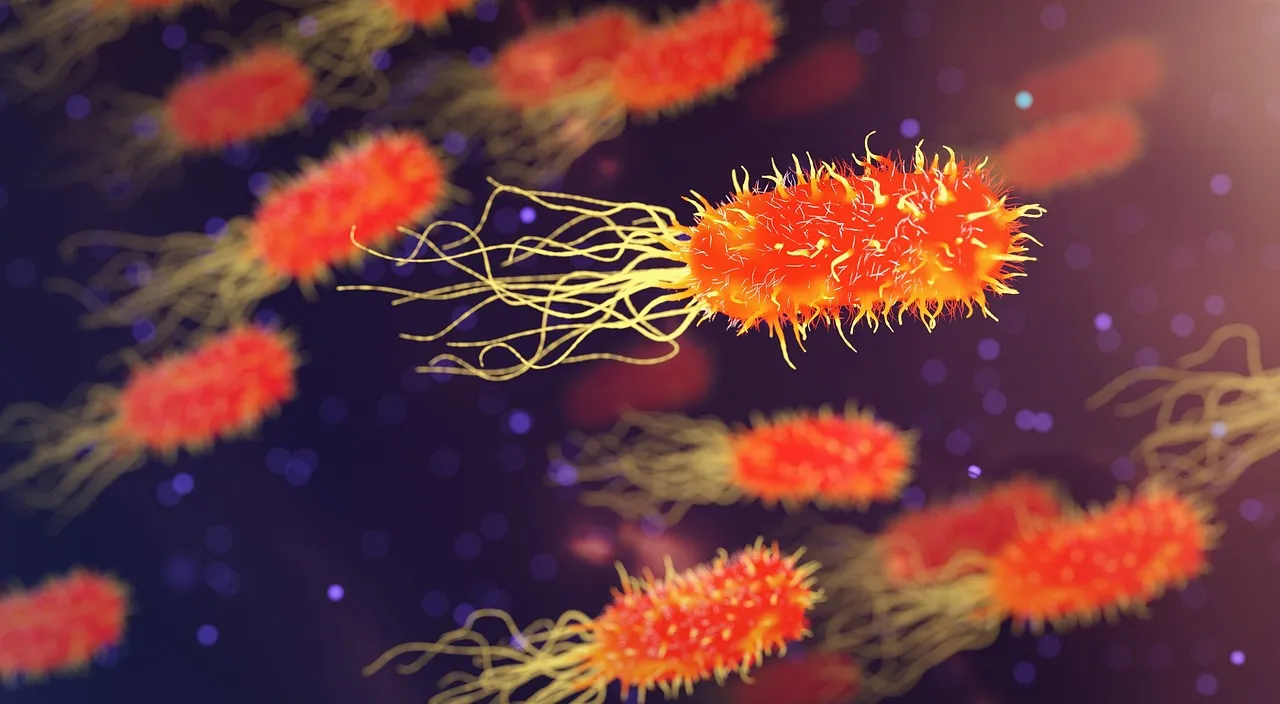 Magnified view of bacteria and microorganisms, illustrating the microscopic scale at which cellular processes like autophagy occur