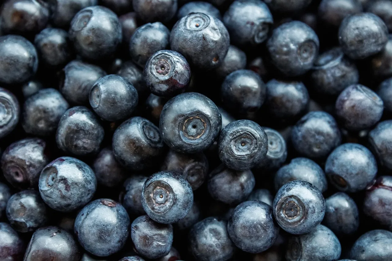 Blueberry, berry, fruit — illustrating Average Weight Loss on Zepbound: The SURMOUNT Numbers