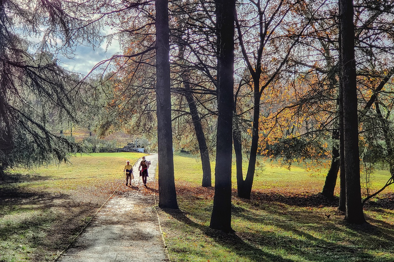 An older adult walking along a sunlit forest trail in autumn, an example of the low-impact weight-bearing activity that supports long-term bone health