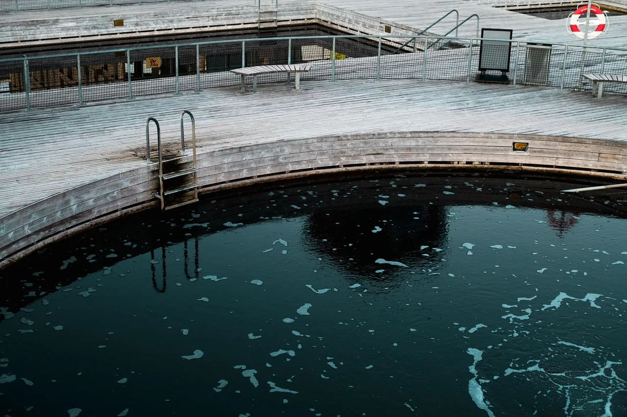 Cold Plunges and Recovery: Signal vs Hype