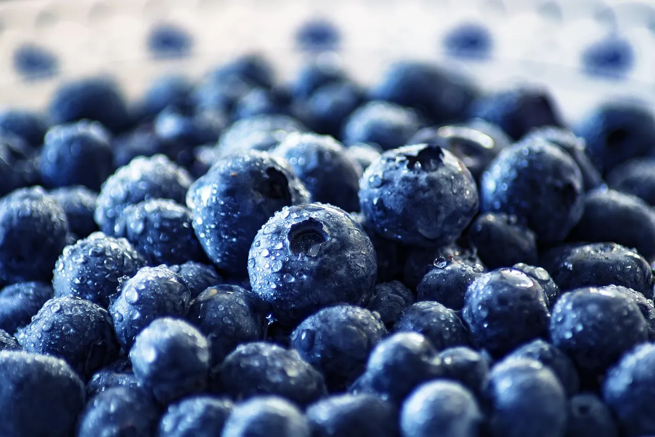 Blueberries, fruit, healthy — illustrating Do You Need to Count Calories on a GLP-1?