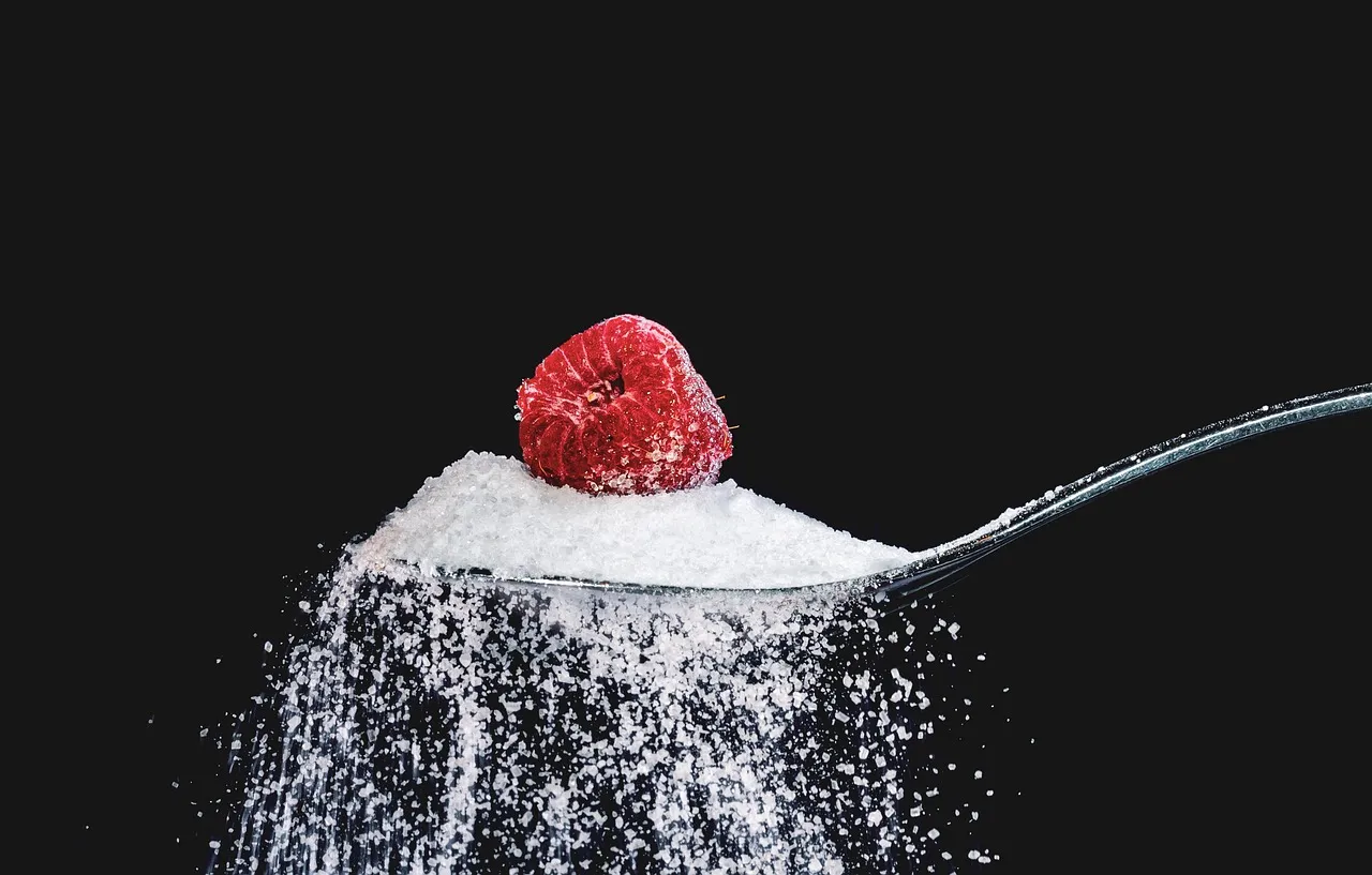 Do You Need to Count Calories on a GLP-1?