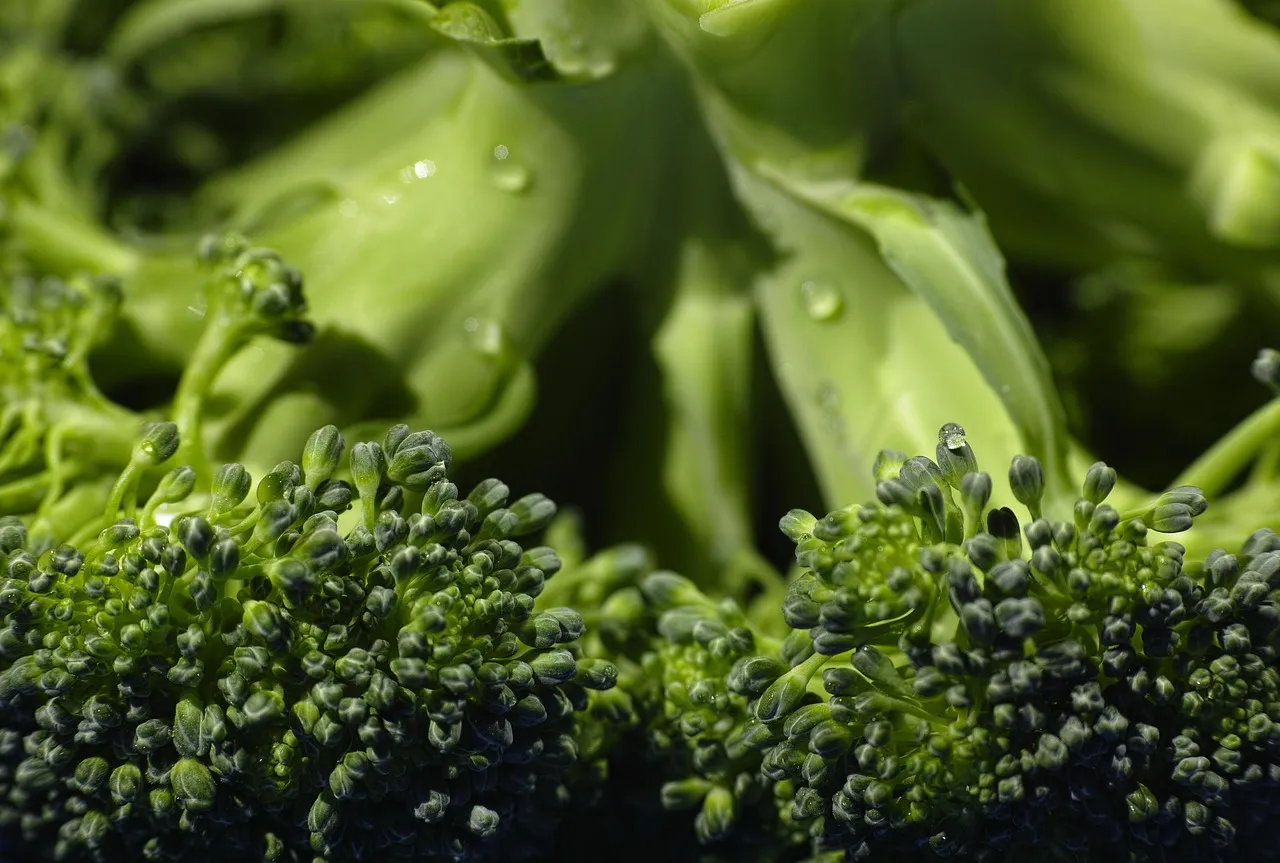 Broccoli, organic, food — illustrating FFMI Explained: Muscle Mass and the Natural Limit