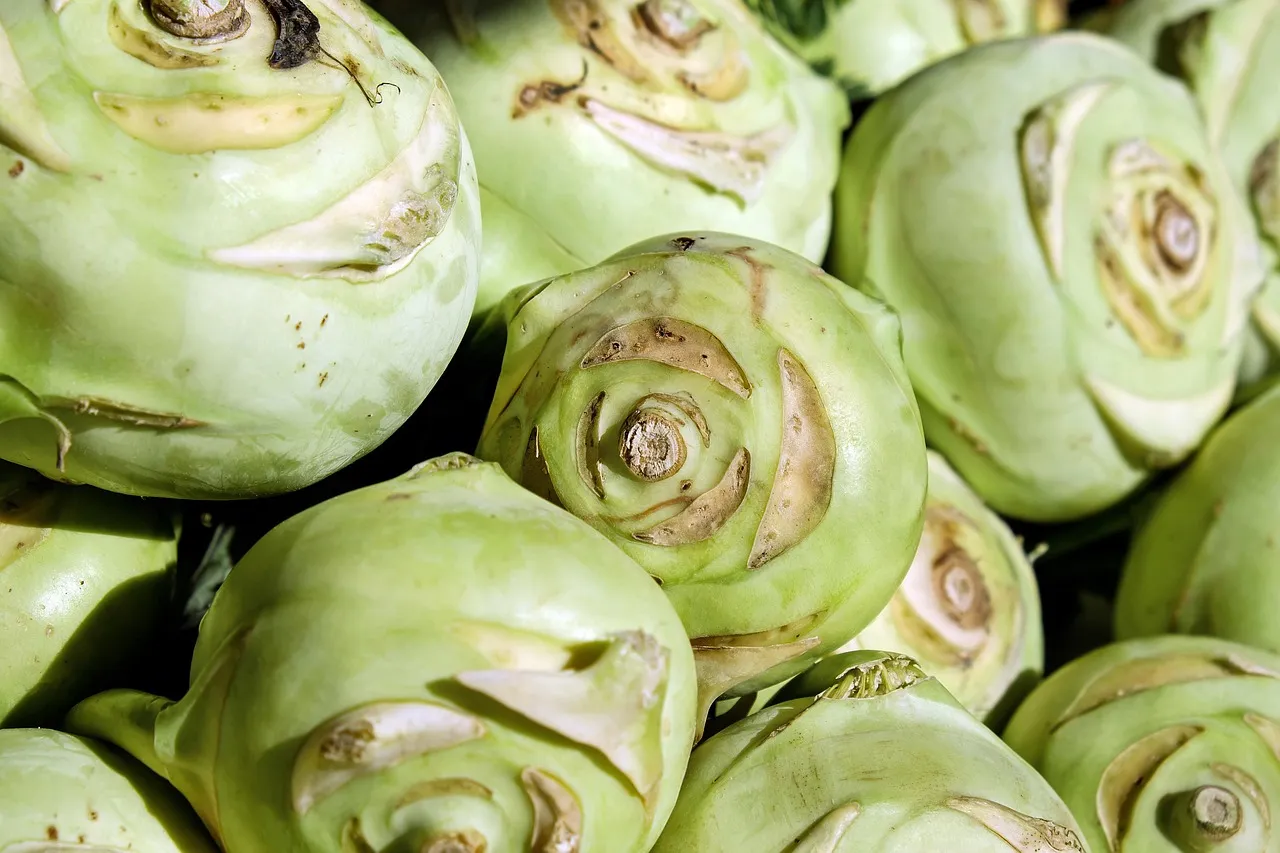 Kohlrabi, vegetables, wild cabbage — illustrating FFMI Explained: Muscle Mass and the Natural Limit