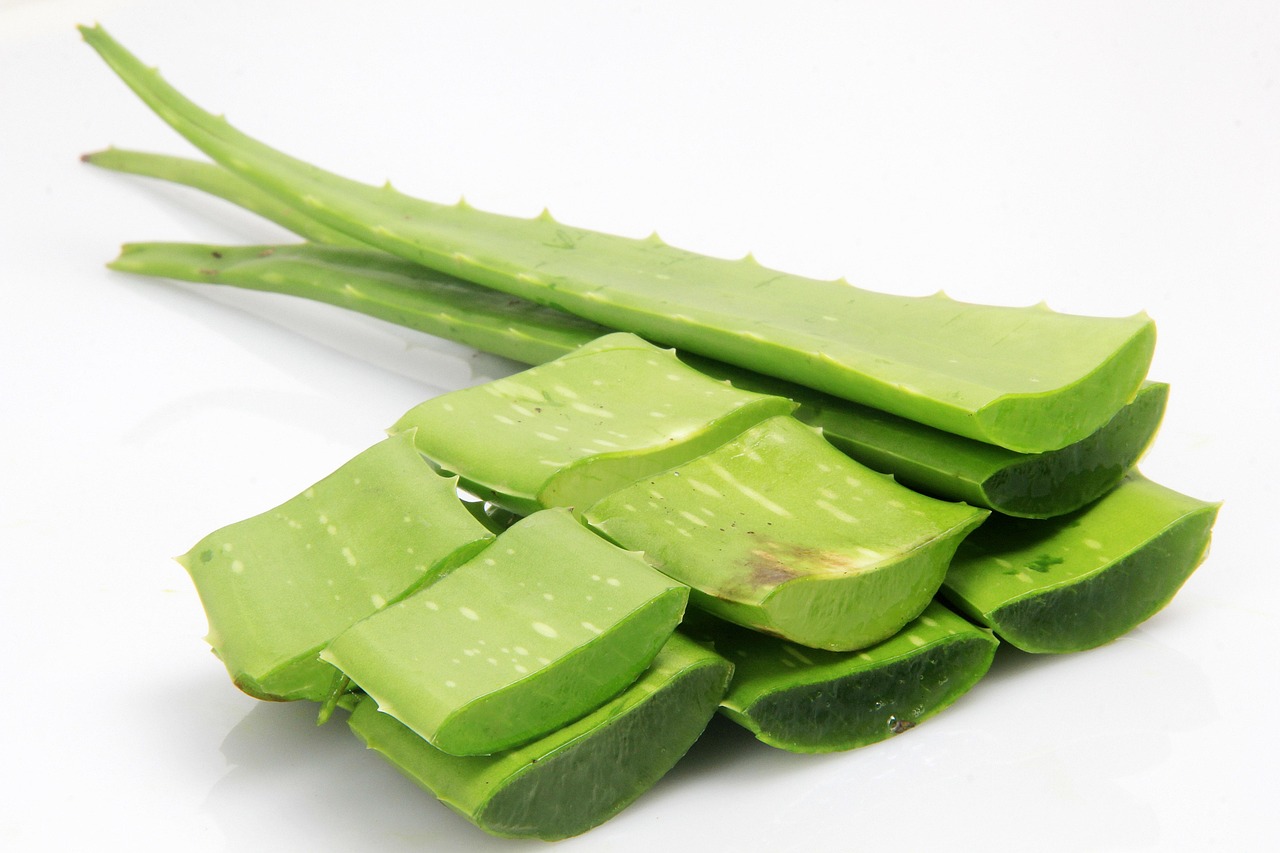 Green, leaf, nature — illustrating GHK-Cu: The Copper Peptide Behind the Skin Claims