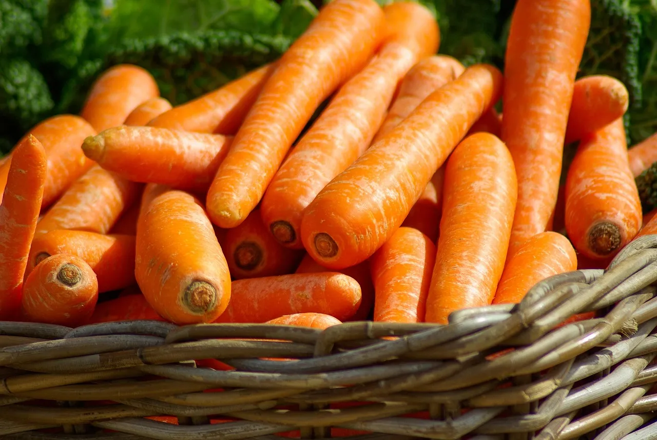 Carrots, basket, vegetables — illustrating Your GLP-1 Dose Increase Hit Hard — Now What?