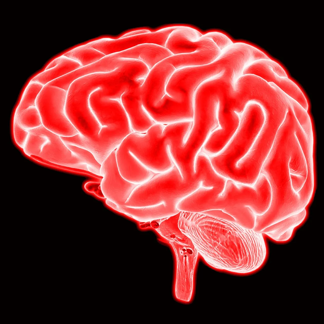 Brain, mind, neuroscience — illustrating GLP-1 Receptor Agonists in the Brain: Appetite and Beyond
