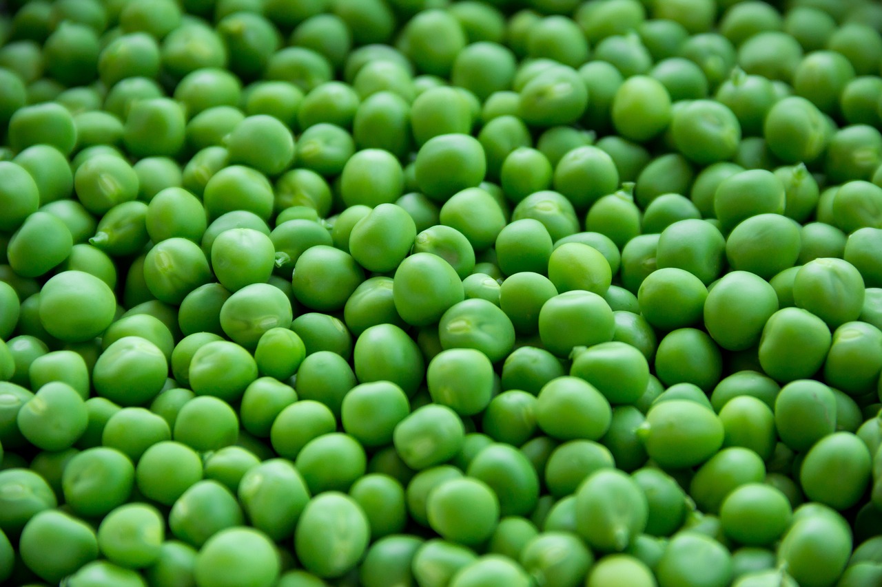 Peas, vegetables, green — illustrating GLP-1s and ‘Food Noise’: The Science of Reduced Cravings