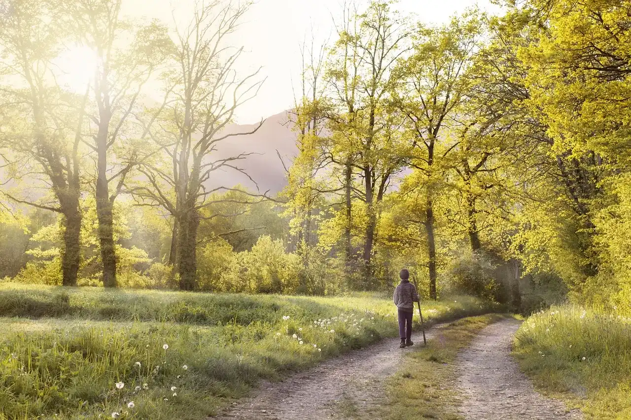 Path, walk, field — illustrating Glucosamine and Mortality: The Surprising Signal