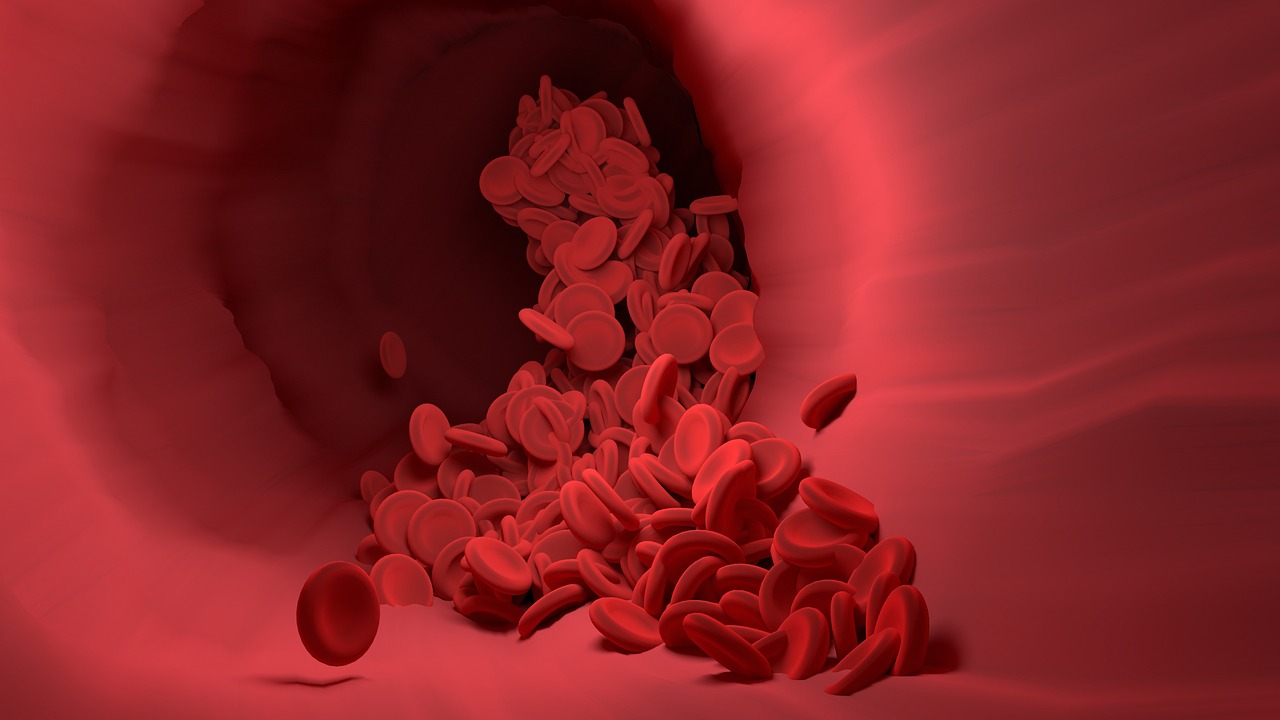 Red blood cells, blood vessel, blood flow — illustrating Hexarelin: The Forgotten Growth-Hormone Peptide