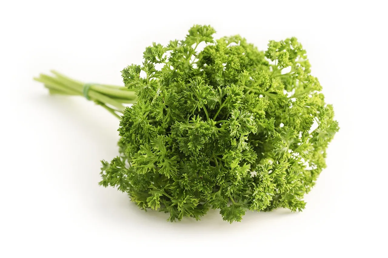 Parsley, herb, food — illustrating Hitting Your Protein Target With No Appetite on a GLP-1