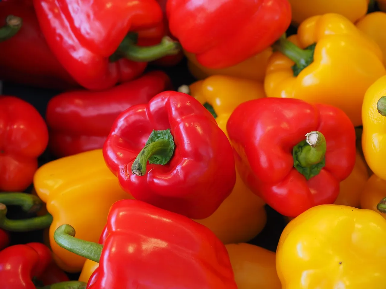 Bell peppers, sweet peppers, capsicums — illustrating Hitting Your Protein Target With No Appetite on a GLP-1