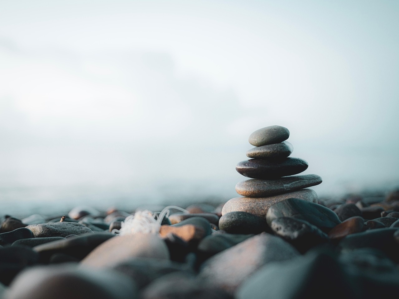 Rocks, ocean, calm — illustrating Hormesis: Why a Little Stress Helps
