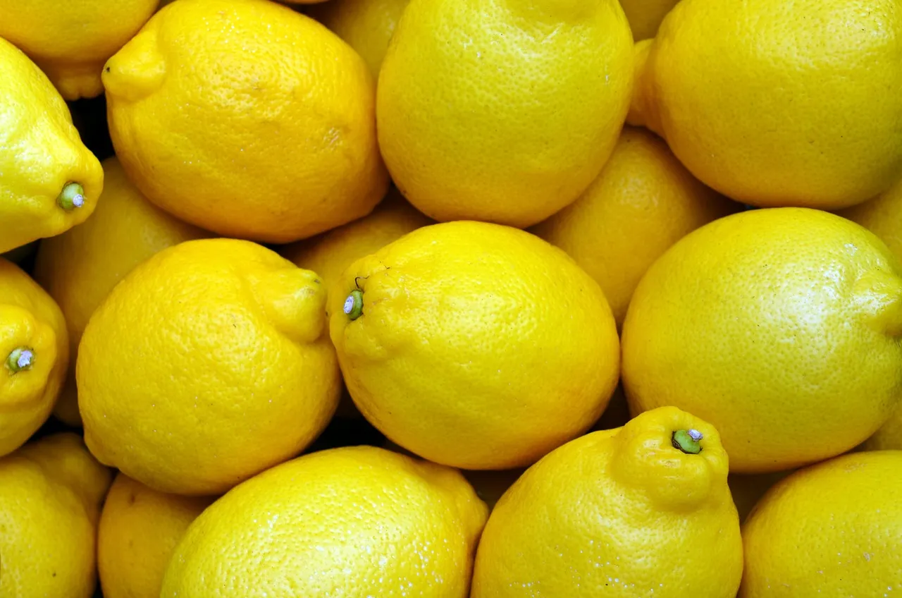 Lemons, fruits, food — illustrating How Big Should Your Calorie Deficit Be?