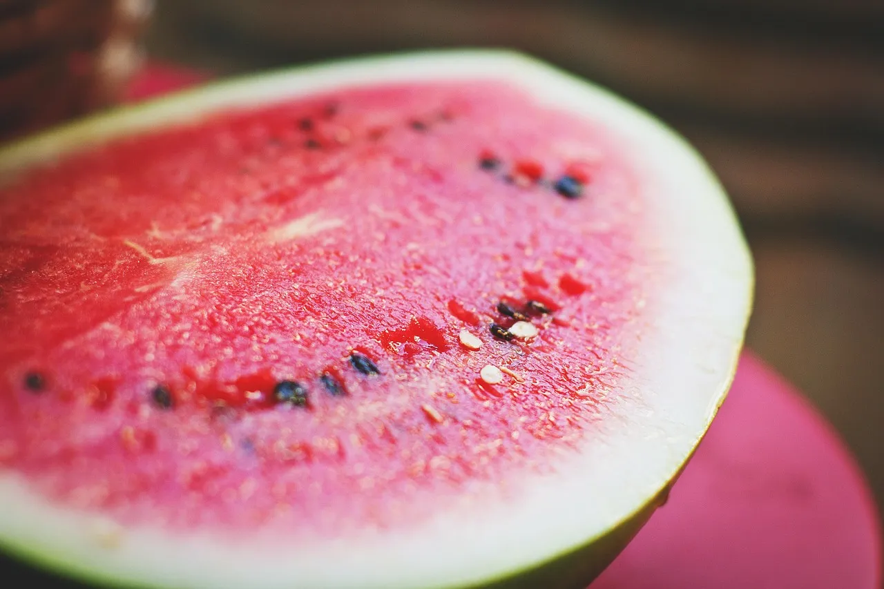 Watermelon, melon, colorful — illustrating How GLP-1s Slow Gastric Emptying