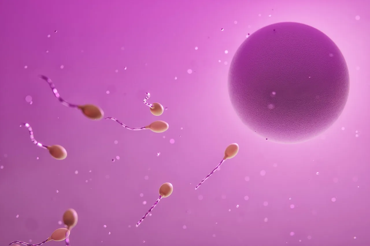 Ovum, sperm, fertilization — illustrating How Many Units Is 250 mcg of Peptide? (It Depends on Concentration)