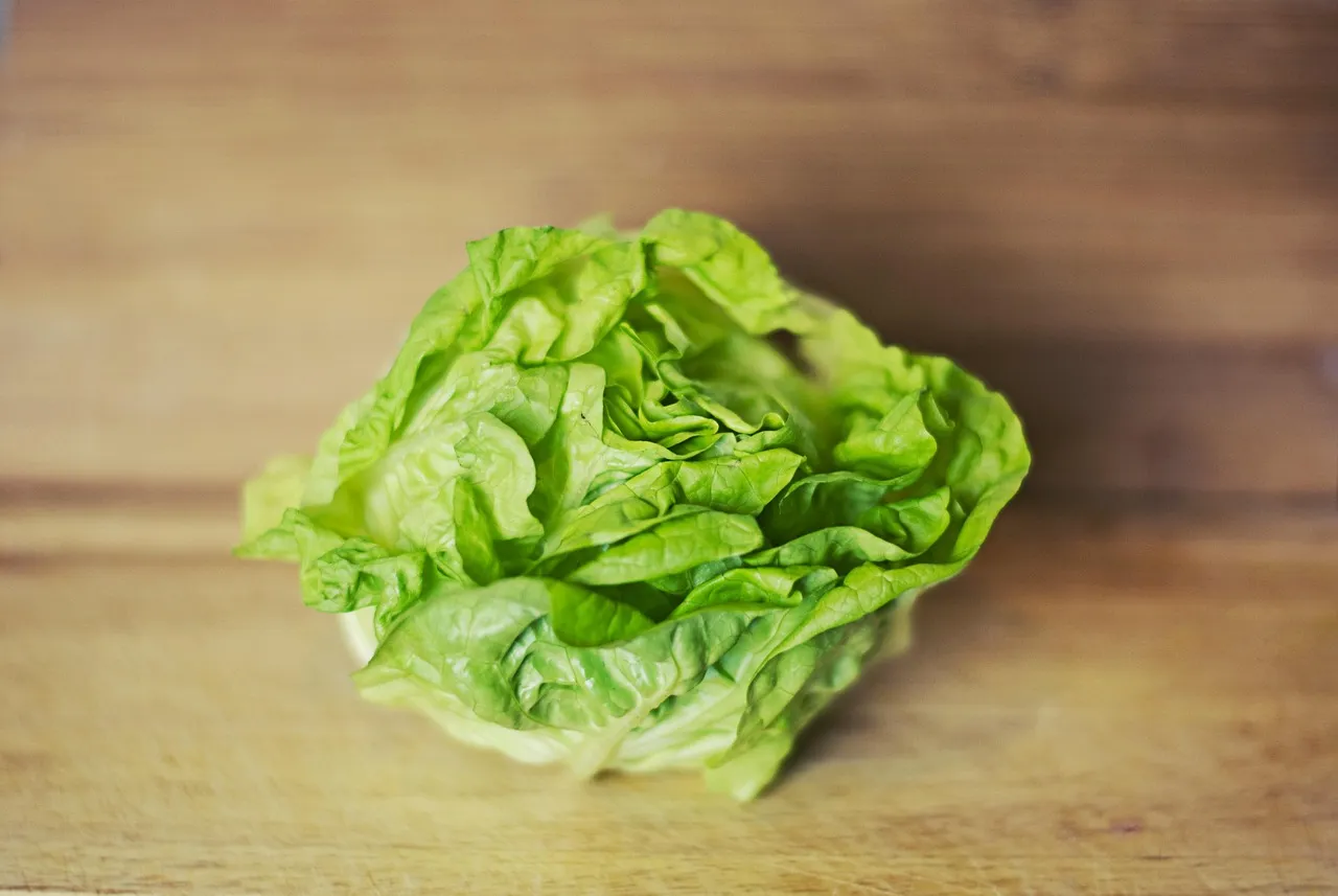 Lettuce, vegetable, green — illustrating How to Measure Whether You're Actually Losing Muscle