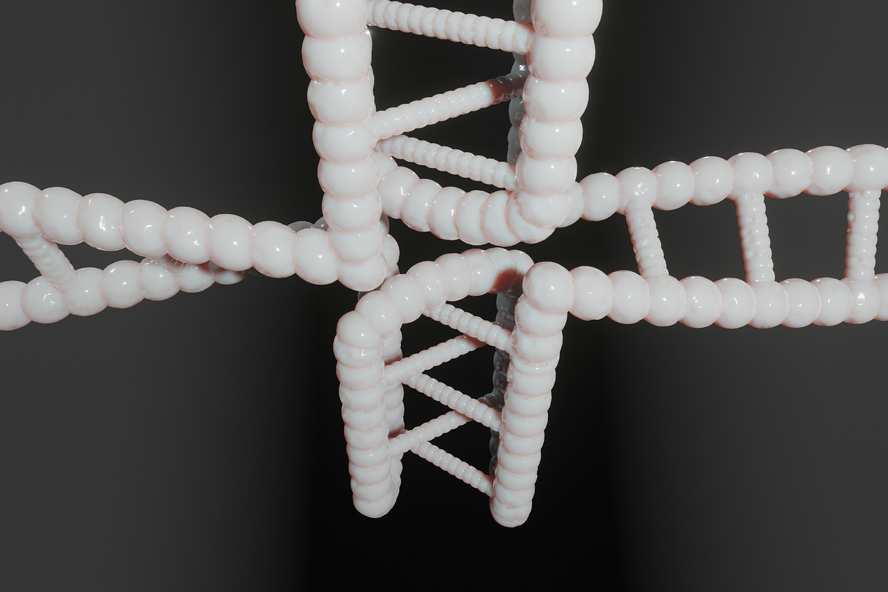 Human, dna, genetic — illustrating Humanin: A Mitochondrial-Derived Peptide Worth Watching