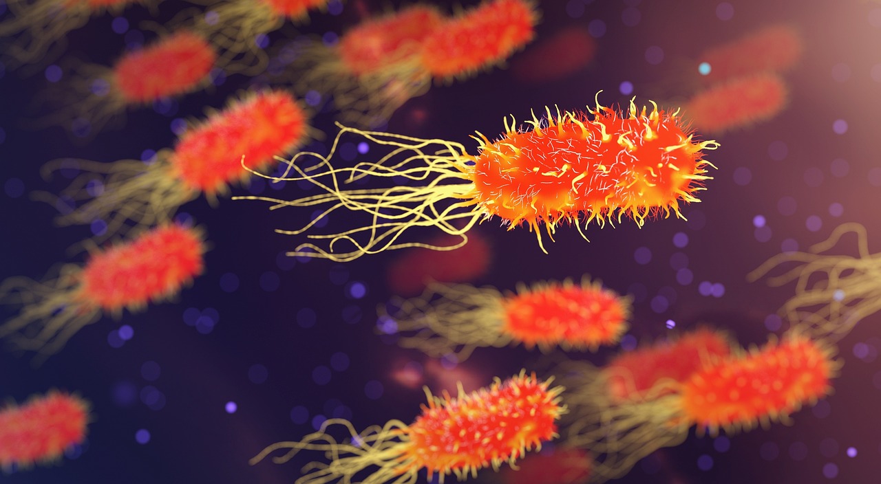 Bacteria, microbiology, organism — illustrating Humanin: A Mitochondrial-Derived Peptide Worth Watching