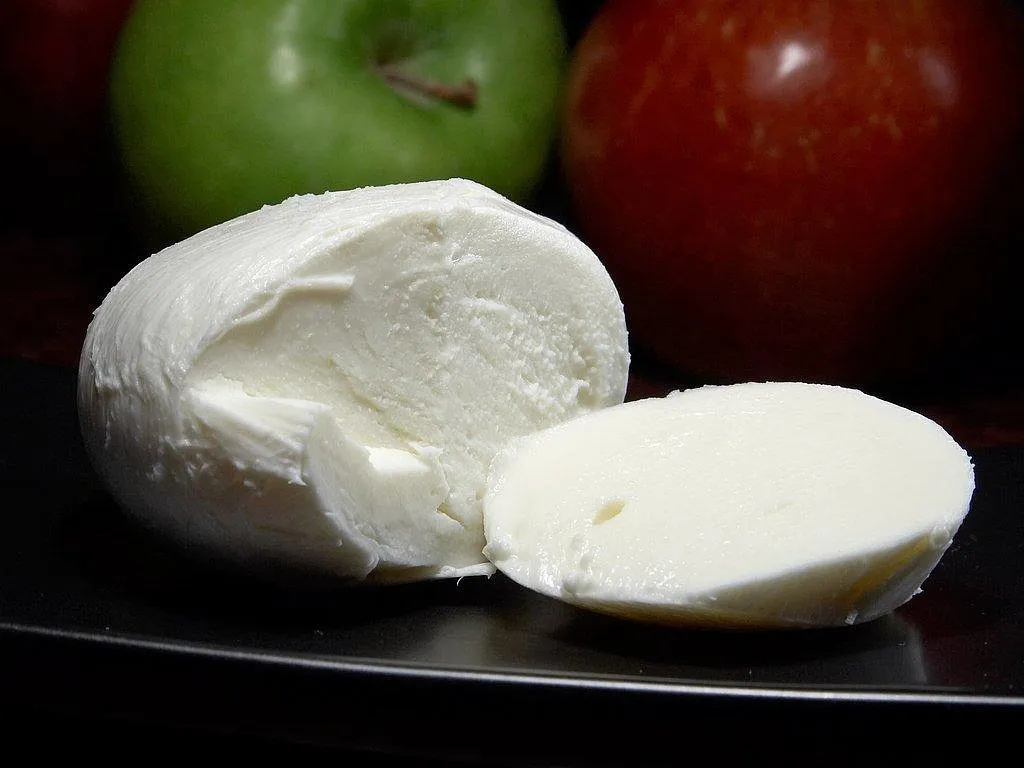 Klotho: The Longevity Protein, Explained
