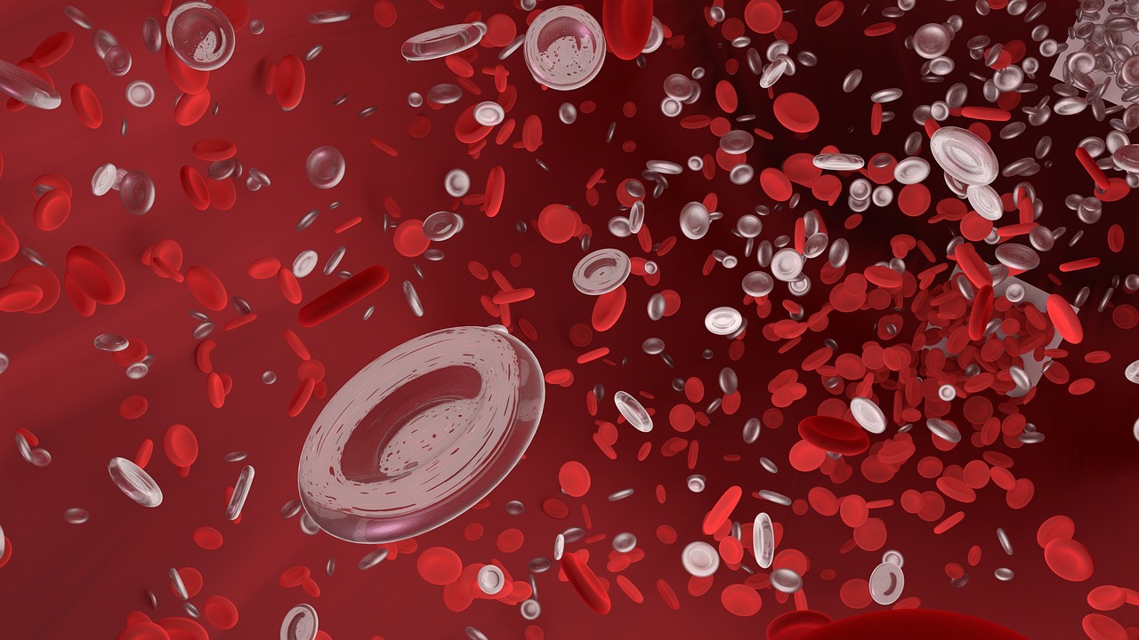 Red blood cell, vessel, tube — illustrating MOTS-c: The Mitochondrial Peptide, Explained