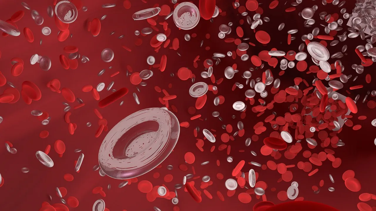 Red blood cell, vessel, tube — illustrating MOTS-c: The Mitochondrial Peptide, Explained