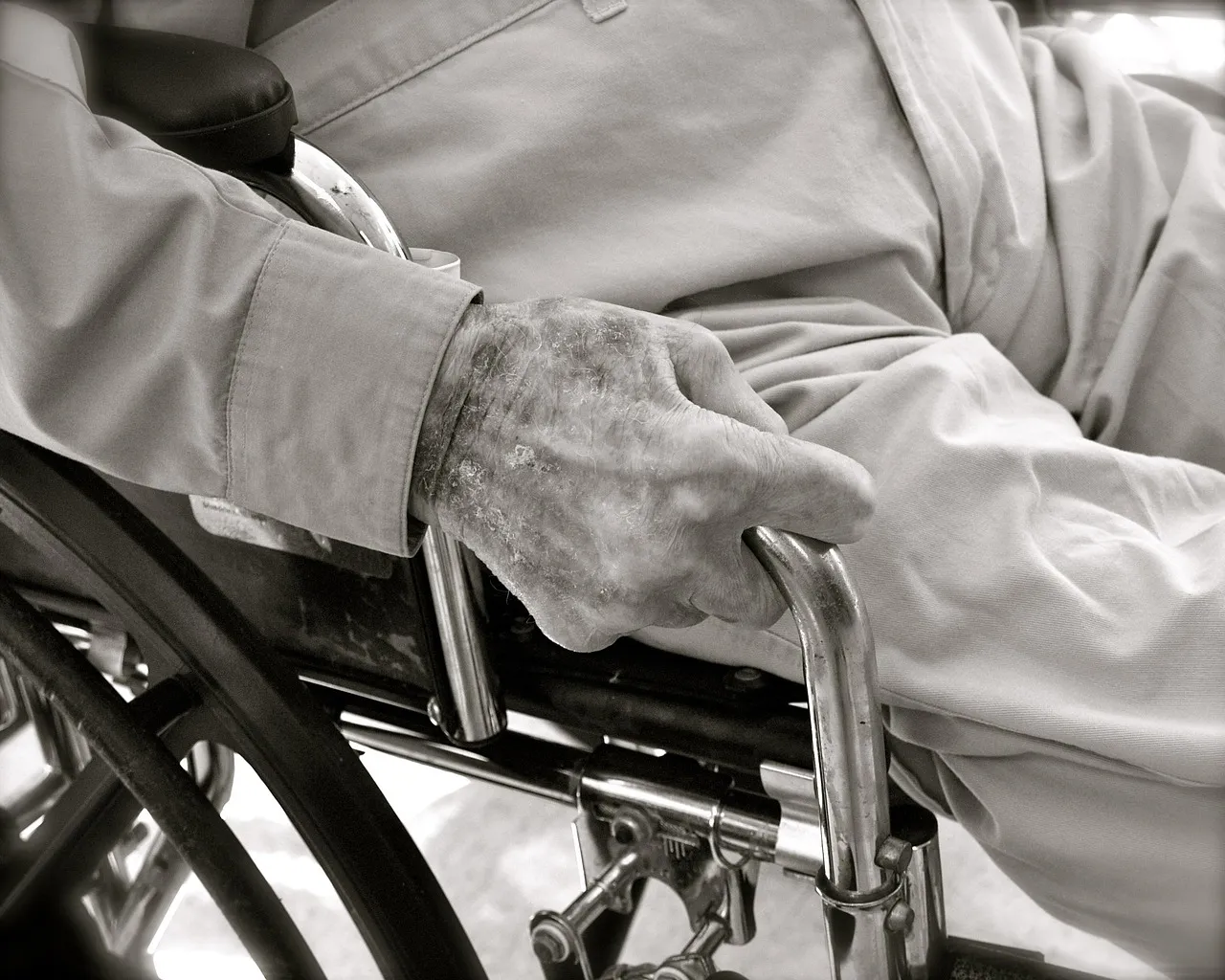 mTOR and Aging: The Central Pathway