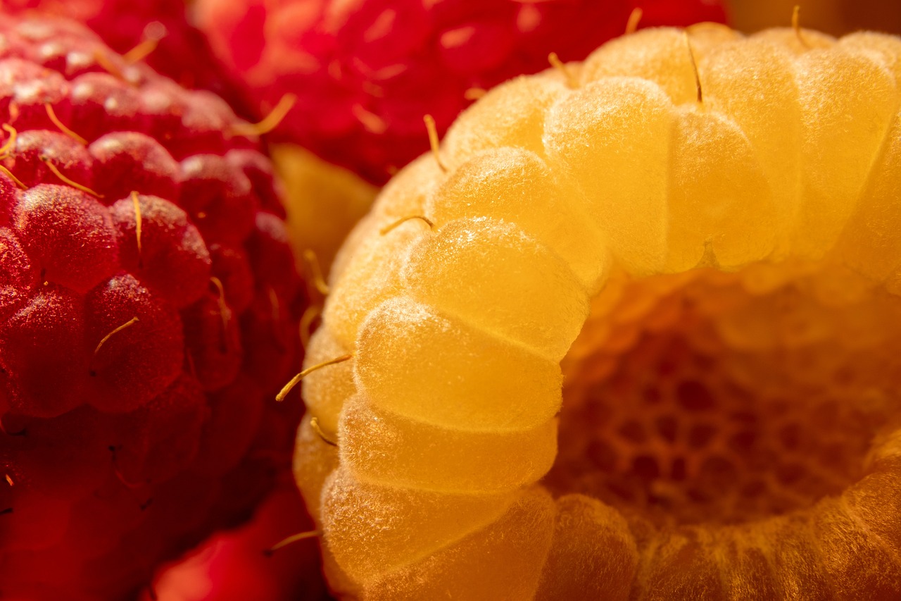 Raspberries, yellow raspberries, red raspberries — illustrating Muscle Loss in Older Adults on GLP-1s