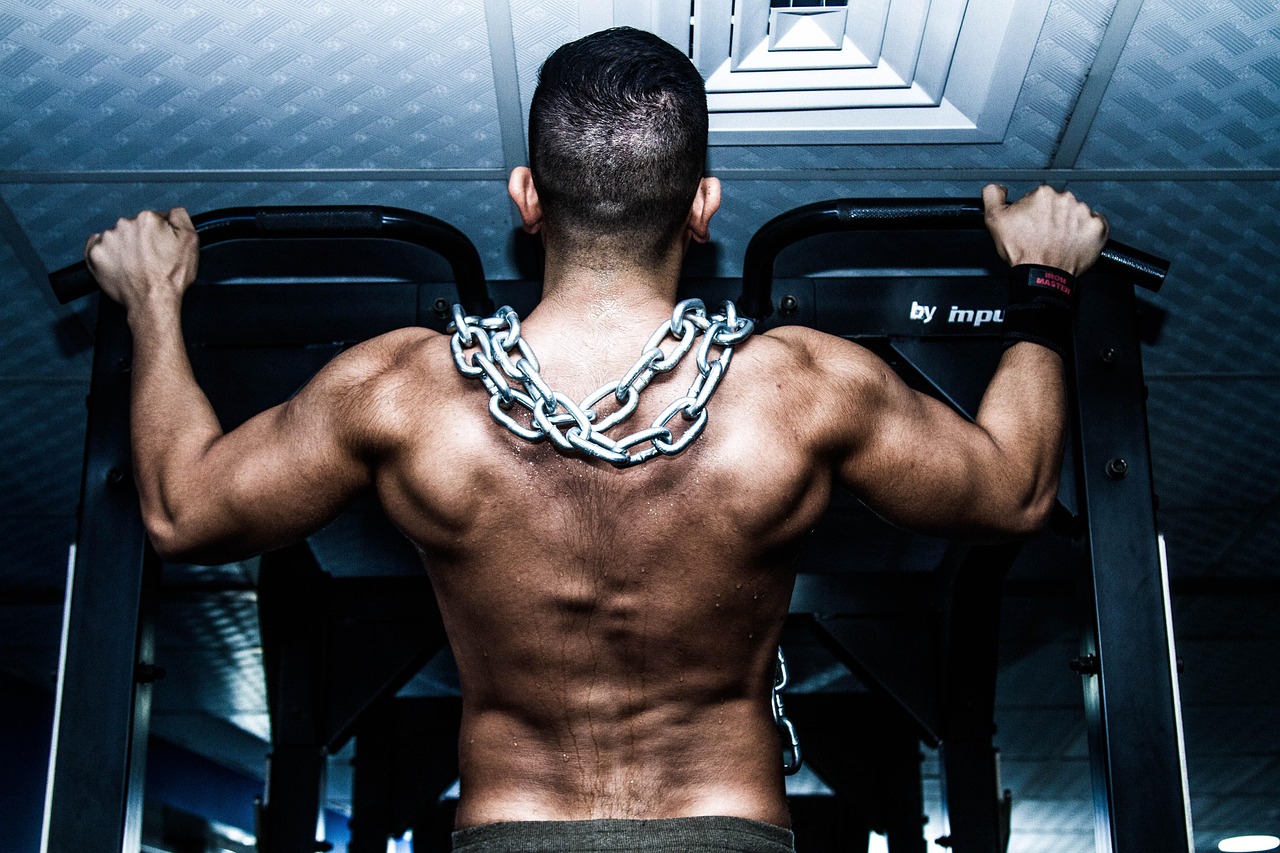 Muscle, gym, training — illustrating Periodization and Recovery: Building Rest In