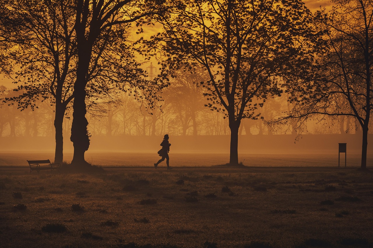 Jogger, trees, park — illustrating Resting Heart Rate as a Recovery Signal