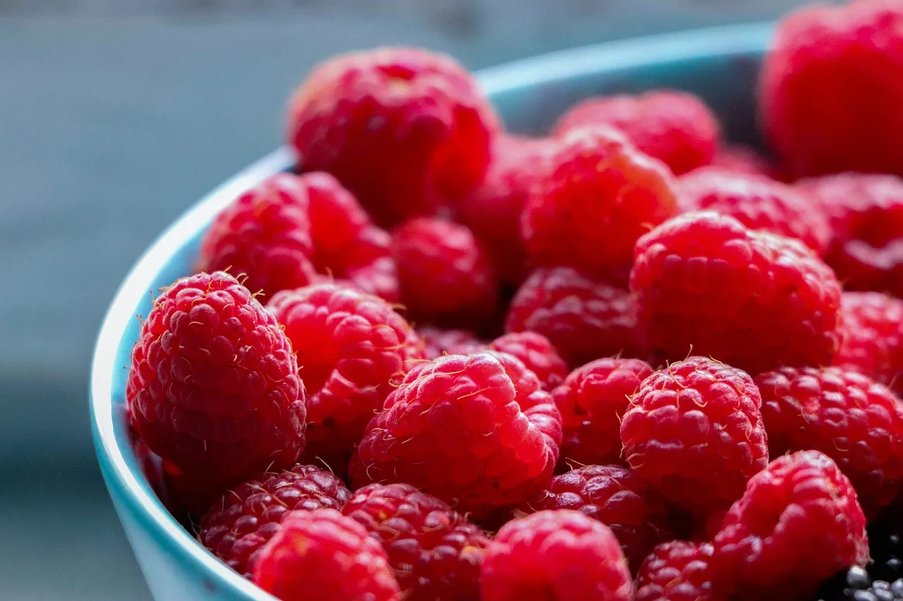 Berry, fruit, healthy — illustrating Semaglutide Weight Loss by Month: What the Trial Data Actually Shows