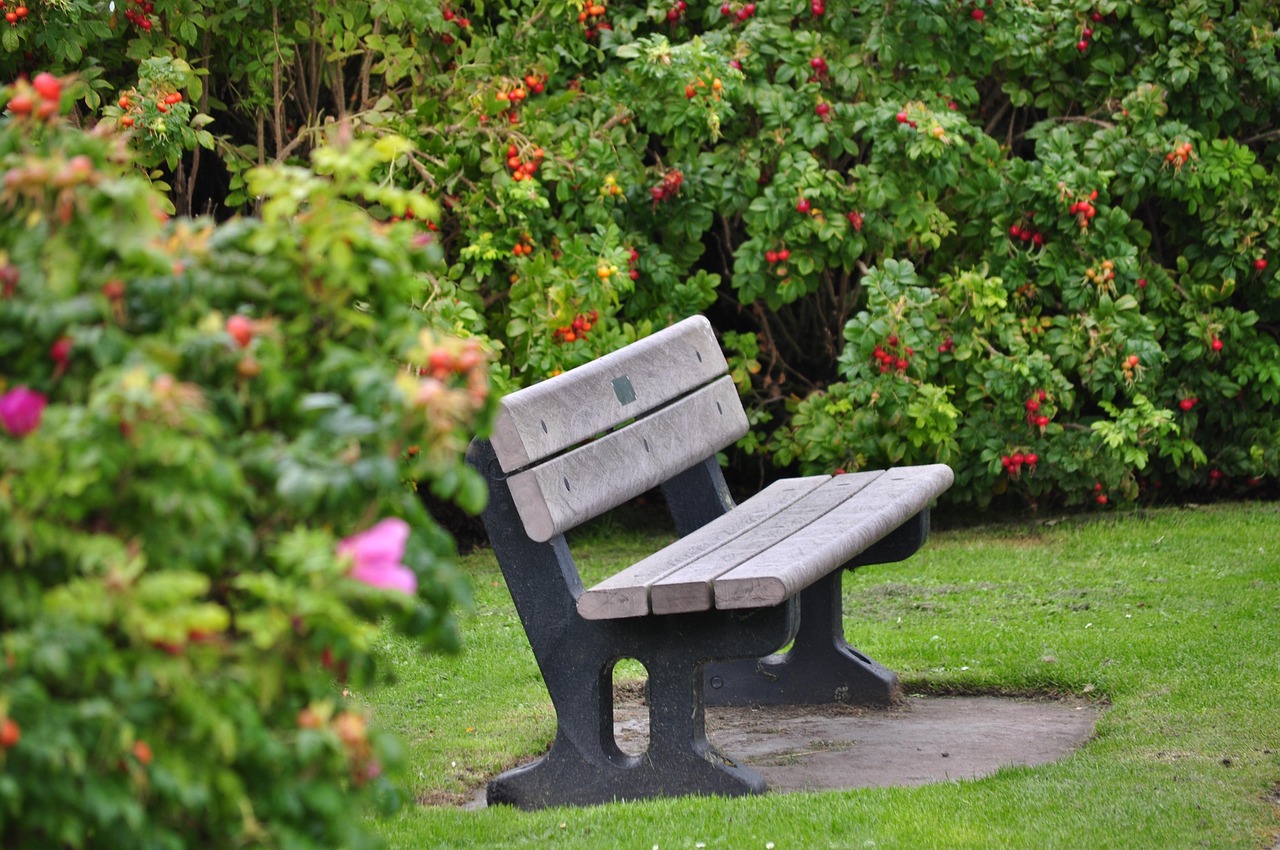 Bench, nature, garden — illustrating Should You Train Today? A Practical Readiness Check-In