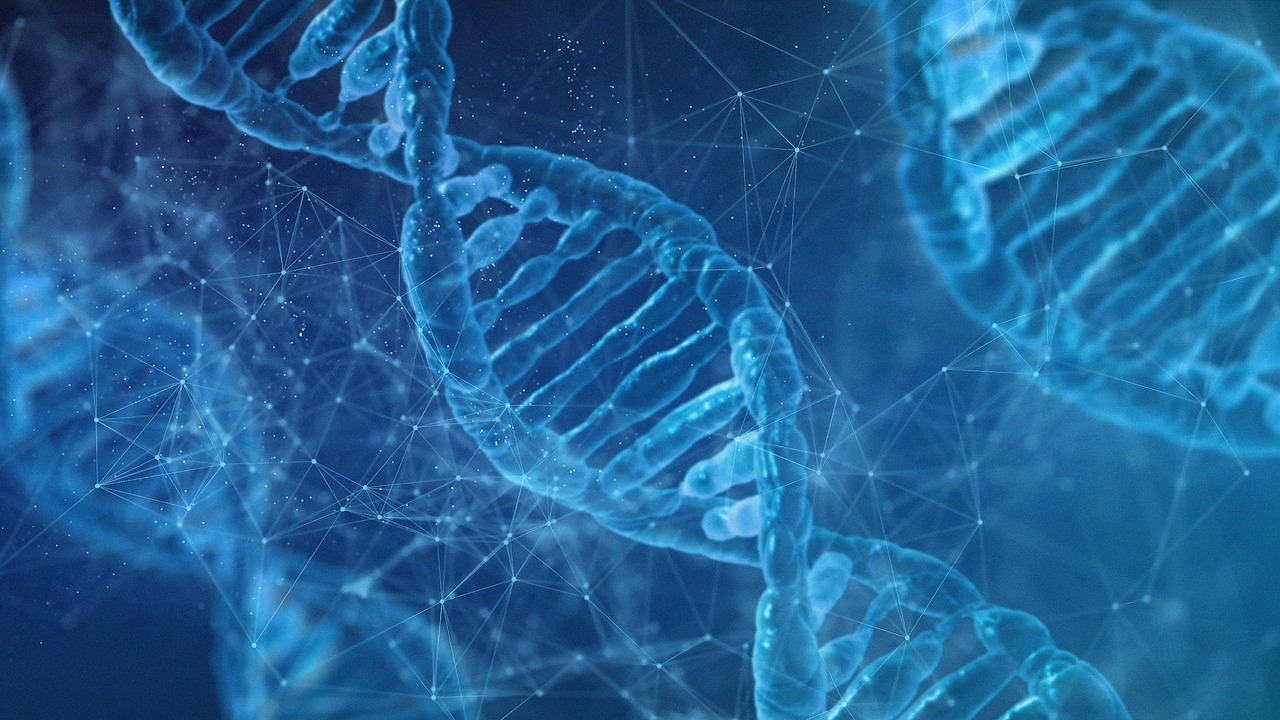 Dna, wallpaper 4k, biology — illustrating SS-31 (Elamipretide): The Mitochondrial Peptide in Trials