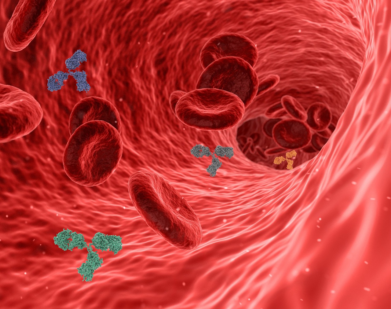 Virus, pathogen, antibody — illustrating SS-31 (Elamipretide): The Mitochondrial Peptide in Trials