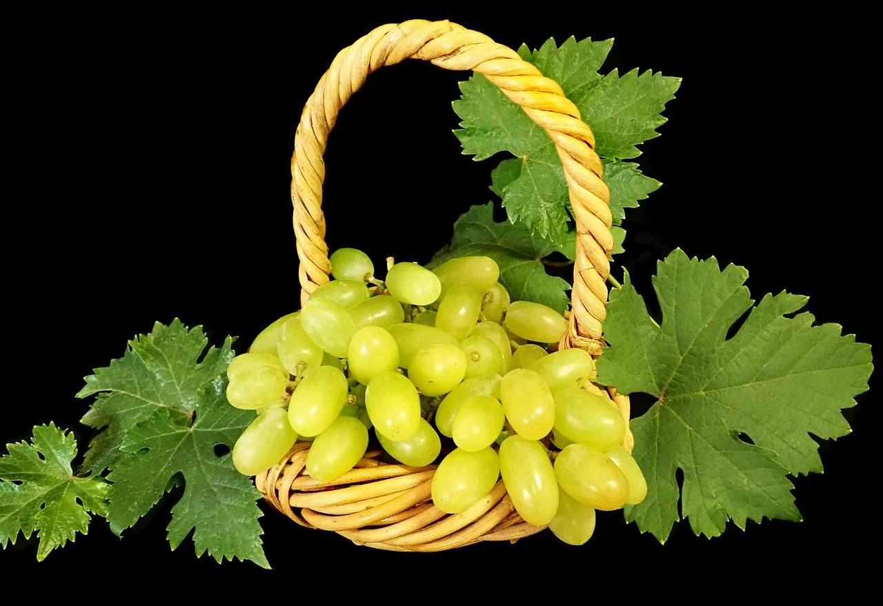 Fruit, grapes, bunch — illustrating TDEE vs BMR: What's the Difference?