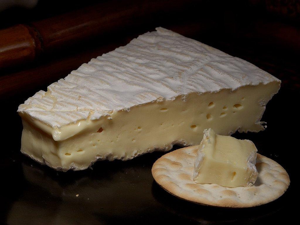Brie de meux, cheese, dairy product — illustrating The Difference Between Peptides and Proteins, Explained