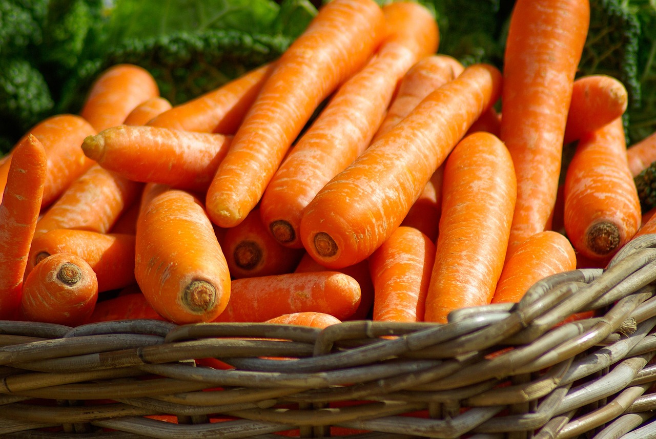 Carrots, basket, vegetables — illustrating The Durability Question: GLP-1s as Chronic Therapy