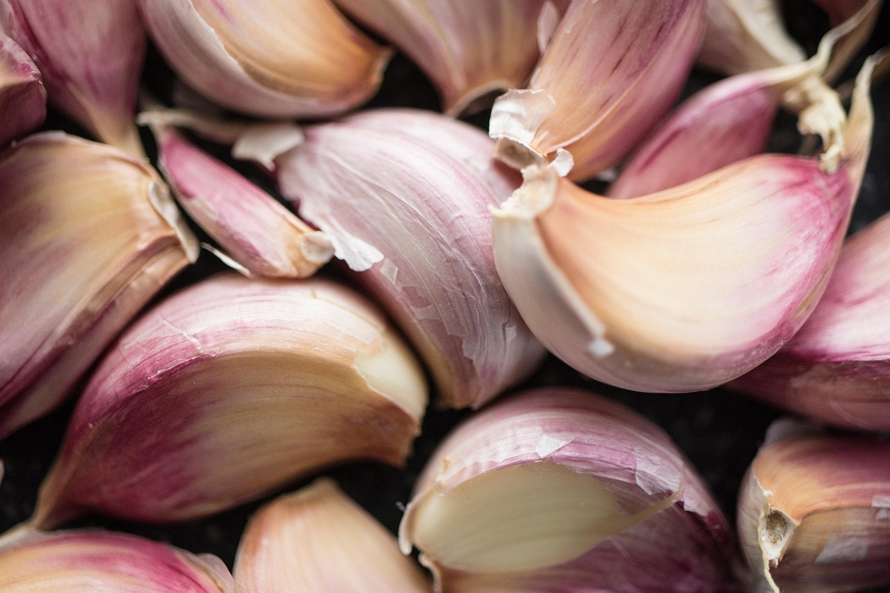 Garlic, clove, raw — illustrating The Durability Question: GLP-1s as Chronic Therapy