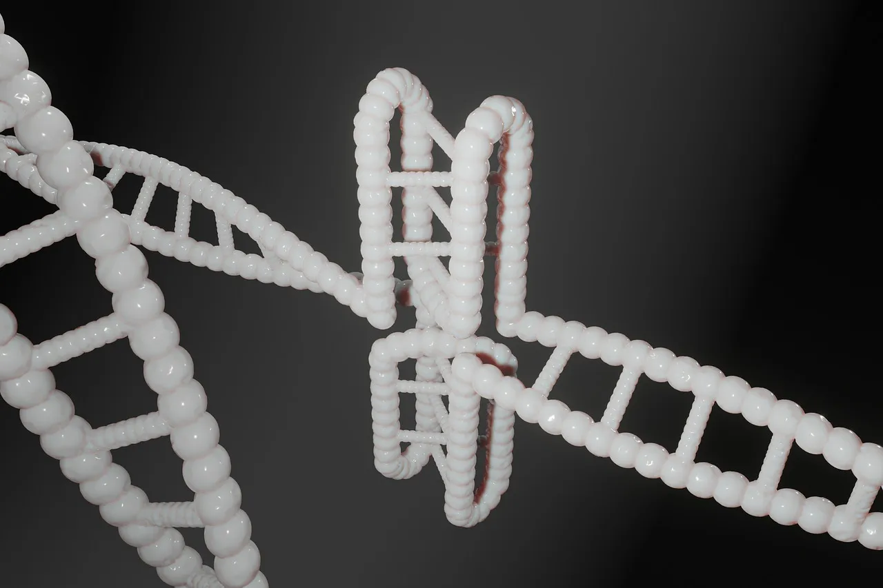 Human, dna, genetic — illustrating The Epigenetics of Lifestyle