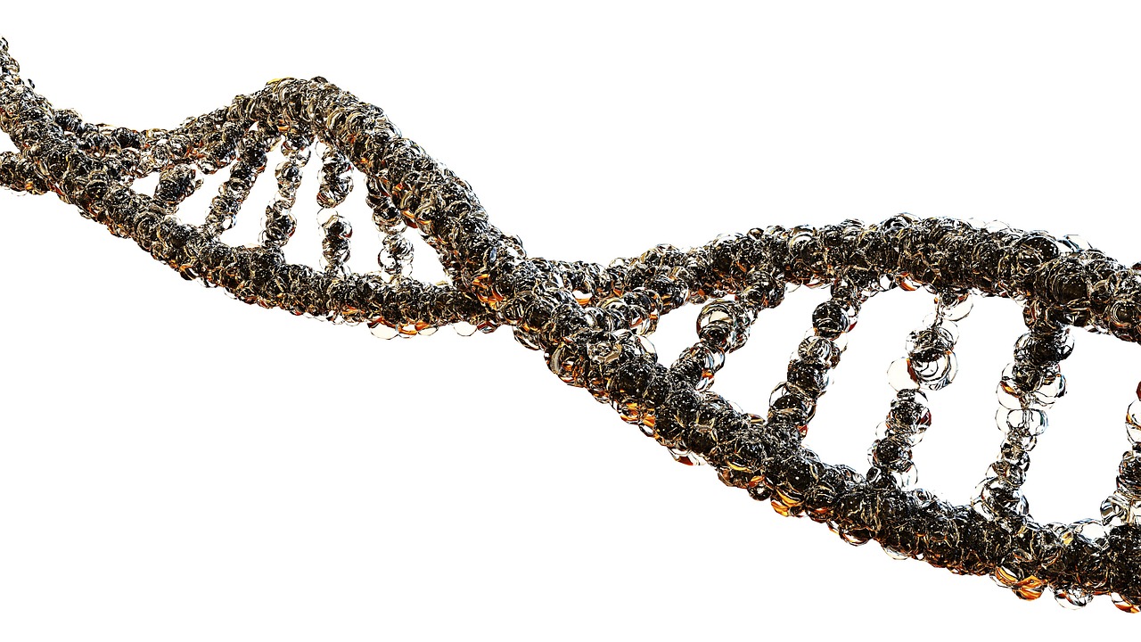 Gout, biology, dna strand — illustrating The Epigenetics of Lifestyle