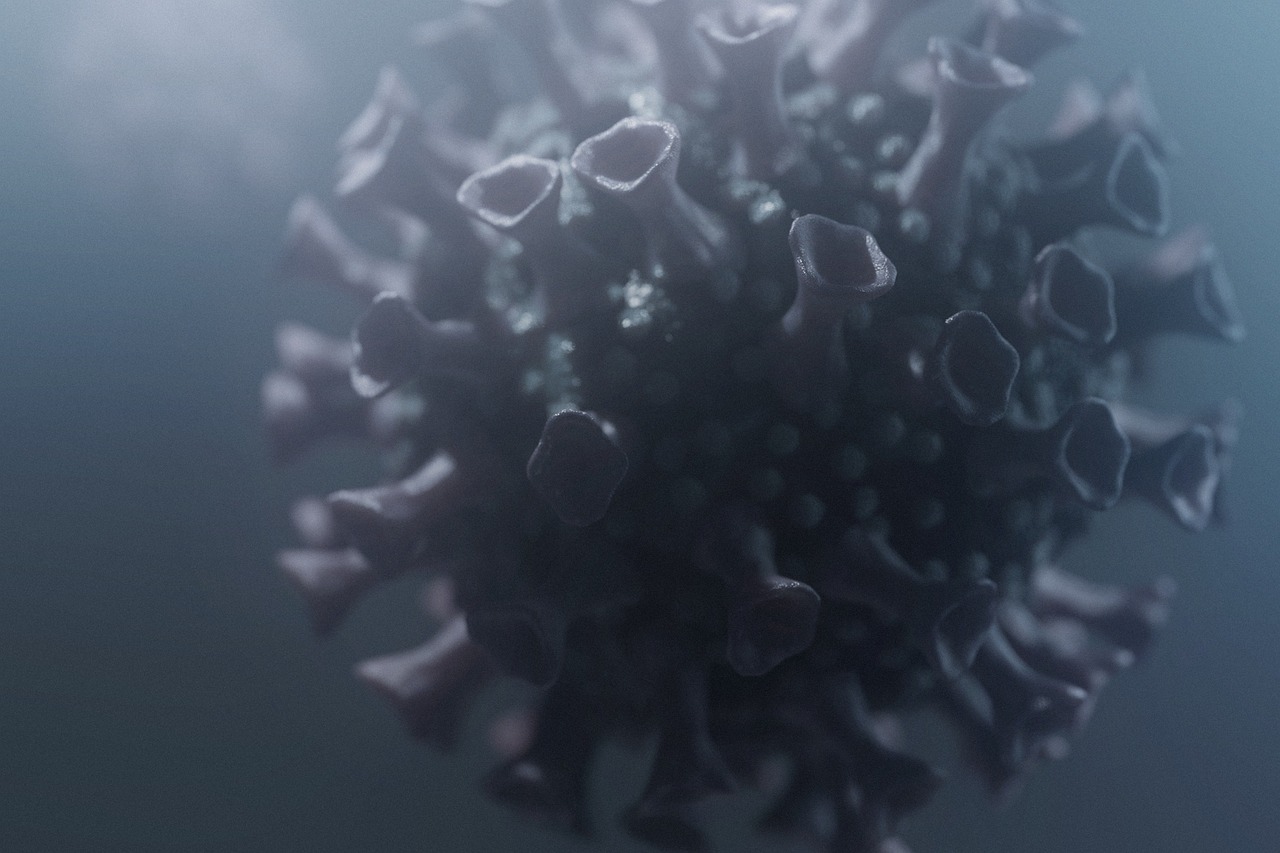 Virus, bacteria, coronavirus — illustrating The Gut Microbiome and Healthy Aging