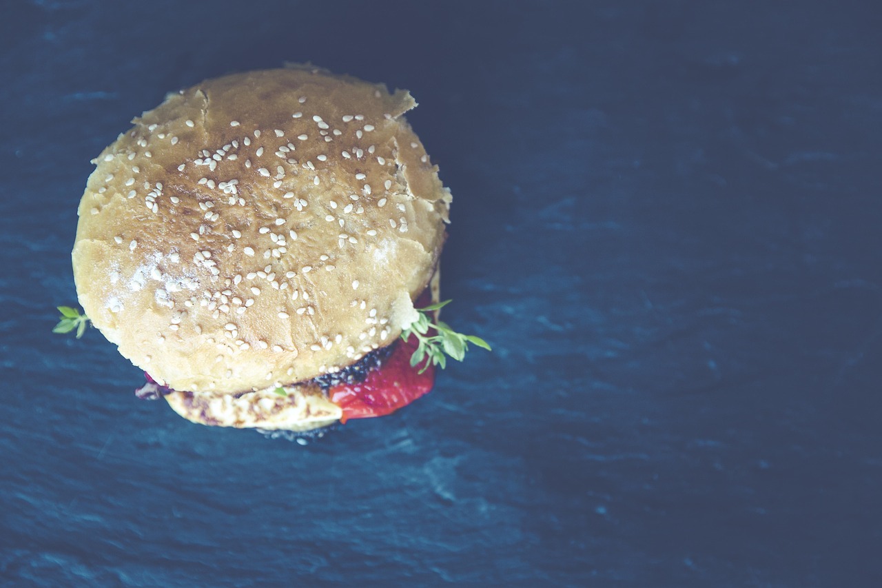 Hamburger, bun, fast food — illustrating Time-Restricted Eating: Evidence and Limits