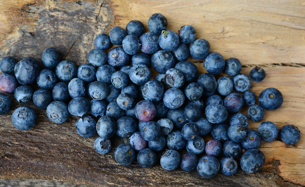 Blueberries, berries, fruits — illustrating Tirzepatide: How the Dual Agonist Changed the Field