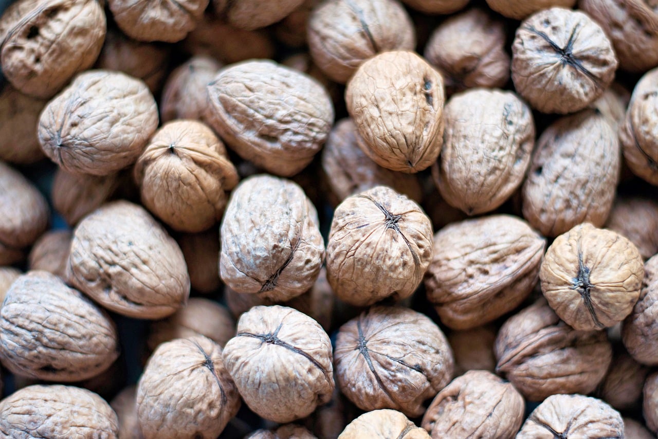 Nuts, walnuts, shell — illustrating Turning a Protein Target Into Daily Grams