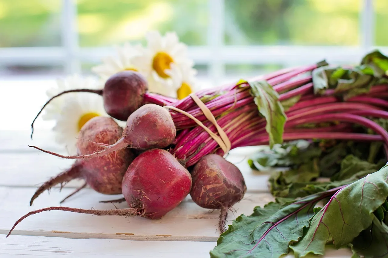 Vegetable, beets, food — illustrating What to Track on a GLP-1: Beyond the Scale