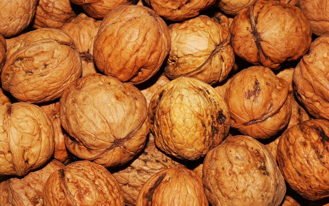 Walnuts, nuts, food — illustrating Will GLP-1s Work for You? Predicting Response