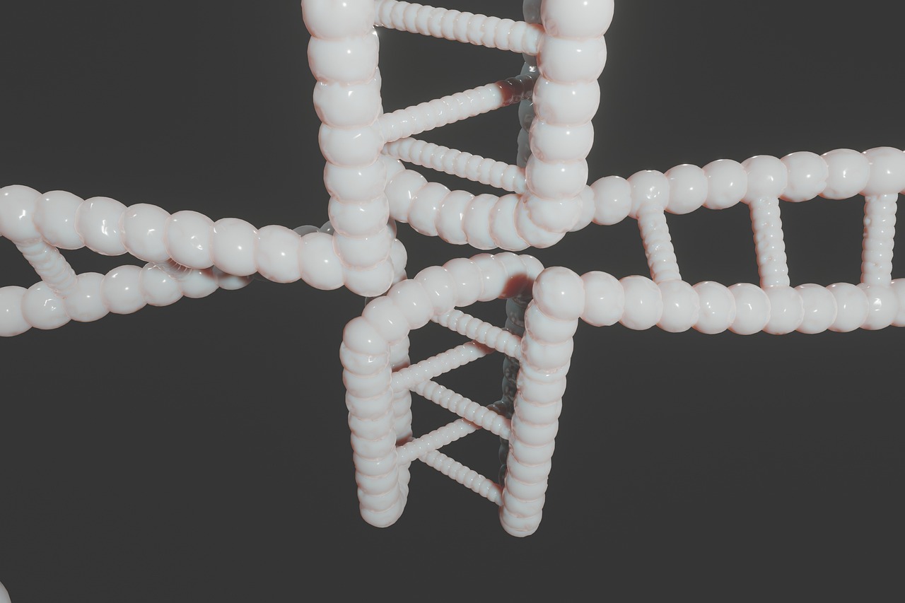 Human, dna, genetic — illustrating Zone 2 and Mitochondrial Health